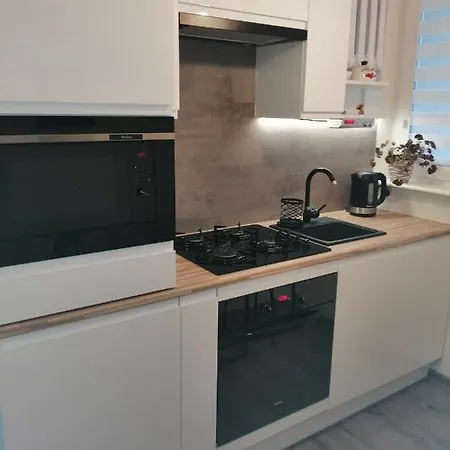 Apartament W Gizycku * 吉日茨科
