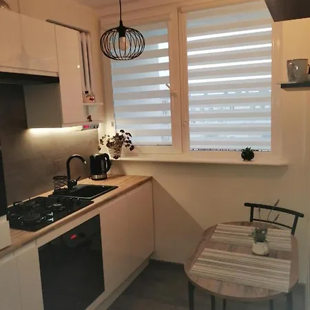 公寓 Apartament W Gizycku *