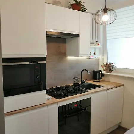 Apartament W Gizycku * 吉日茨科