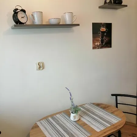 公寓 Apartament W Gizycku